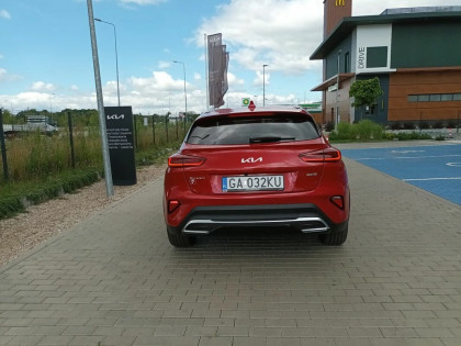 PHEV Business Line Czujniki Kamery DEMO OD RĘKI, Rabat 44.600 !!