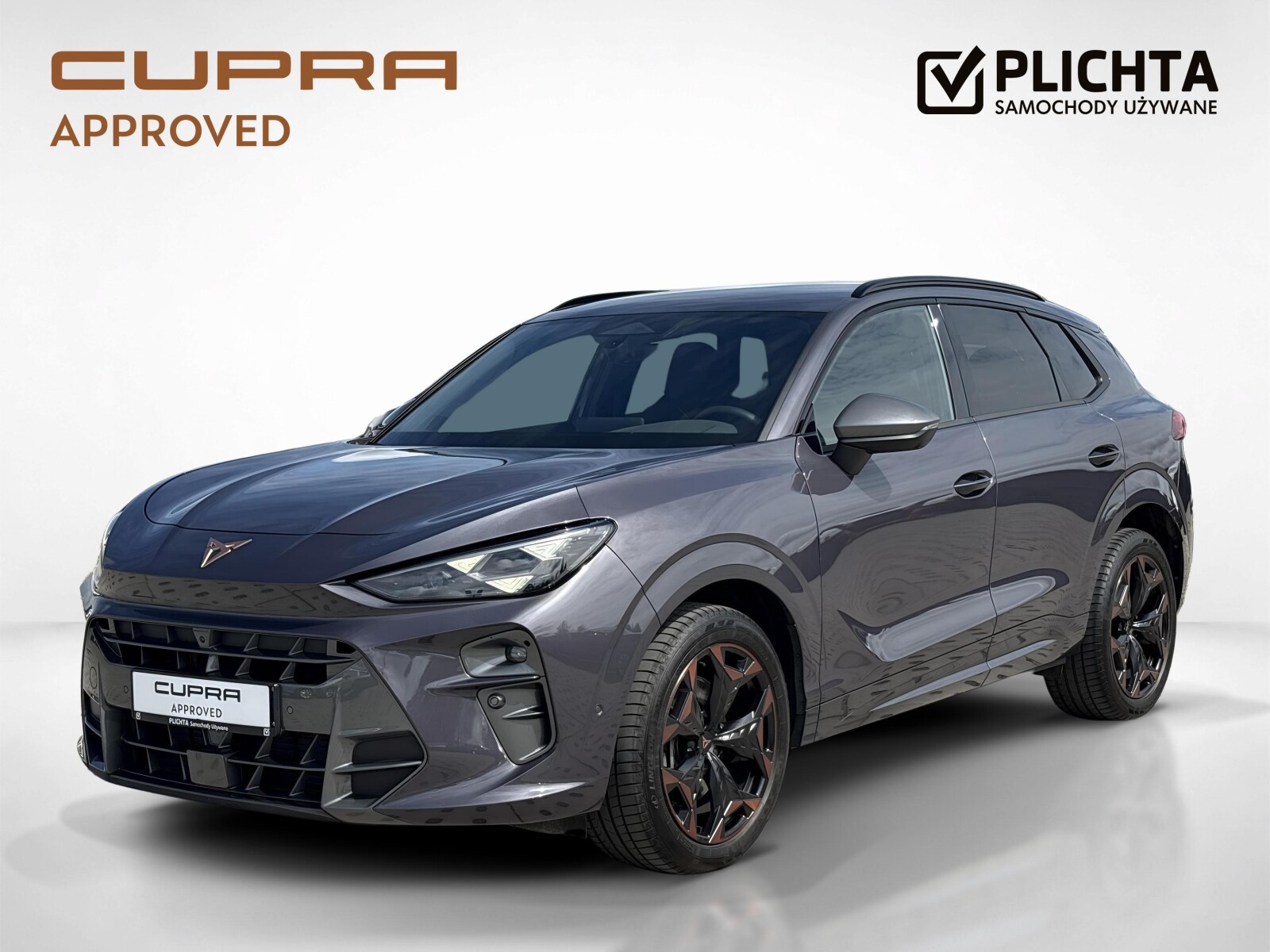 Cupra TERRAMAR 2.0 TSI 204 KM DSG Napęd Na 4 Koła