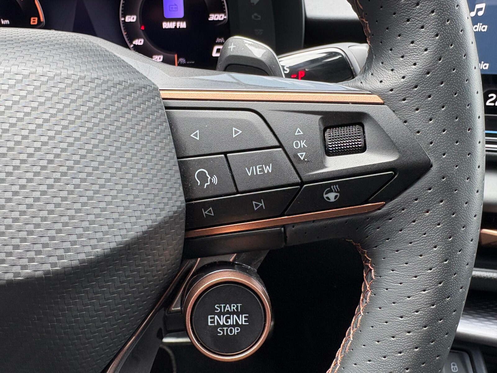 Cupra Terramar - zdjęcie 24