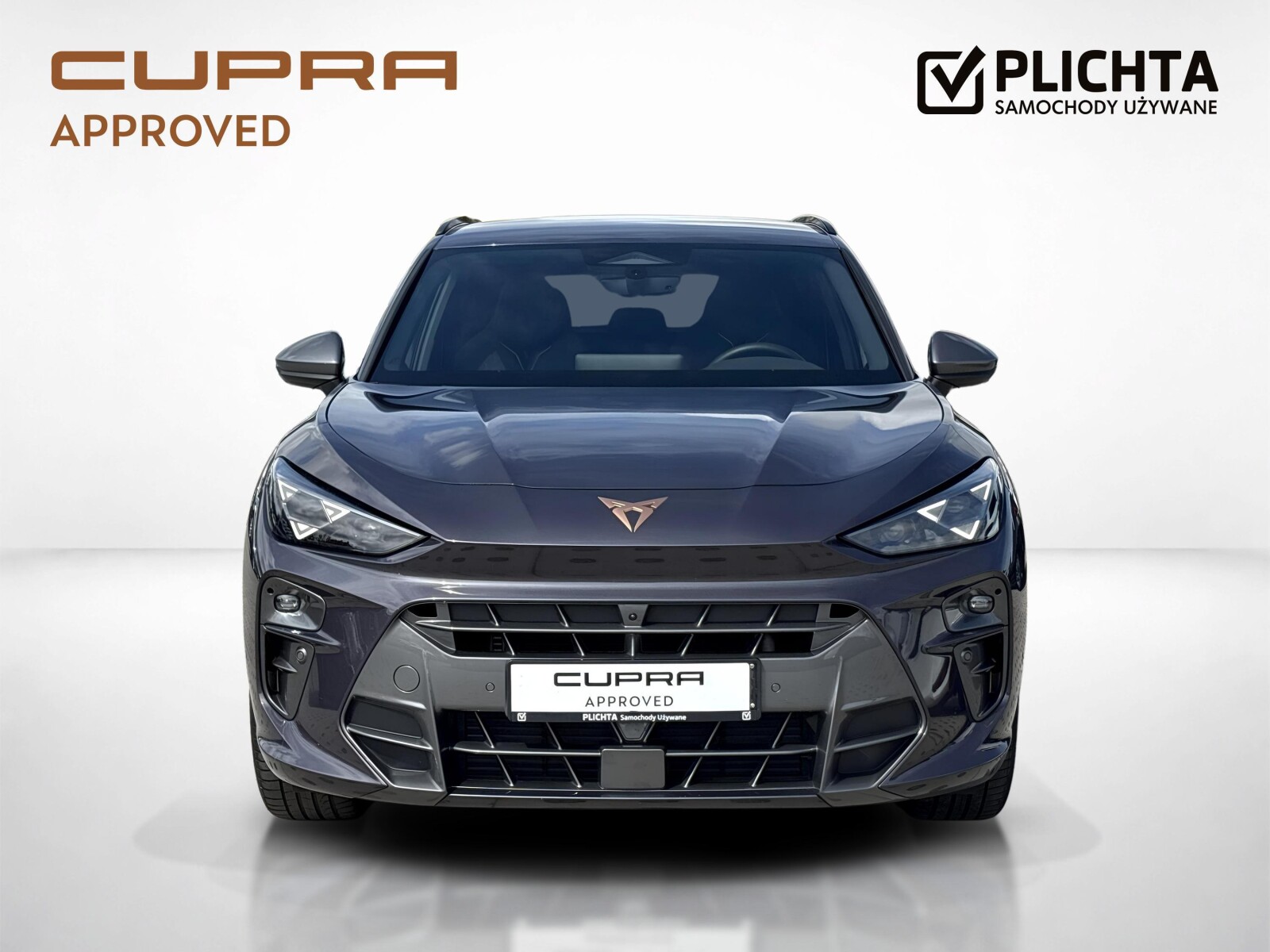 Cupra Terramar - zdjęcie 8