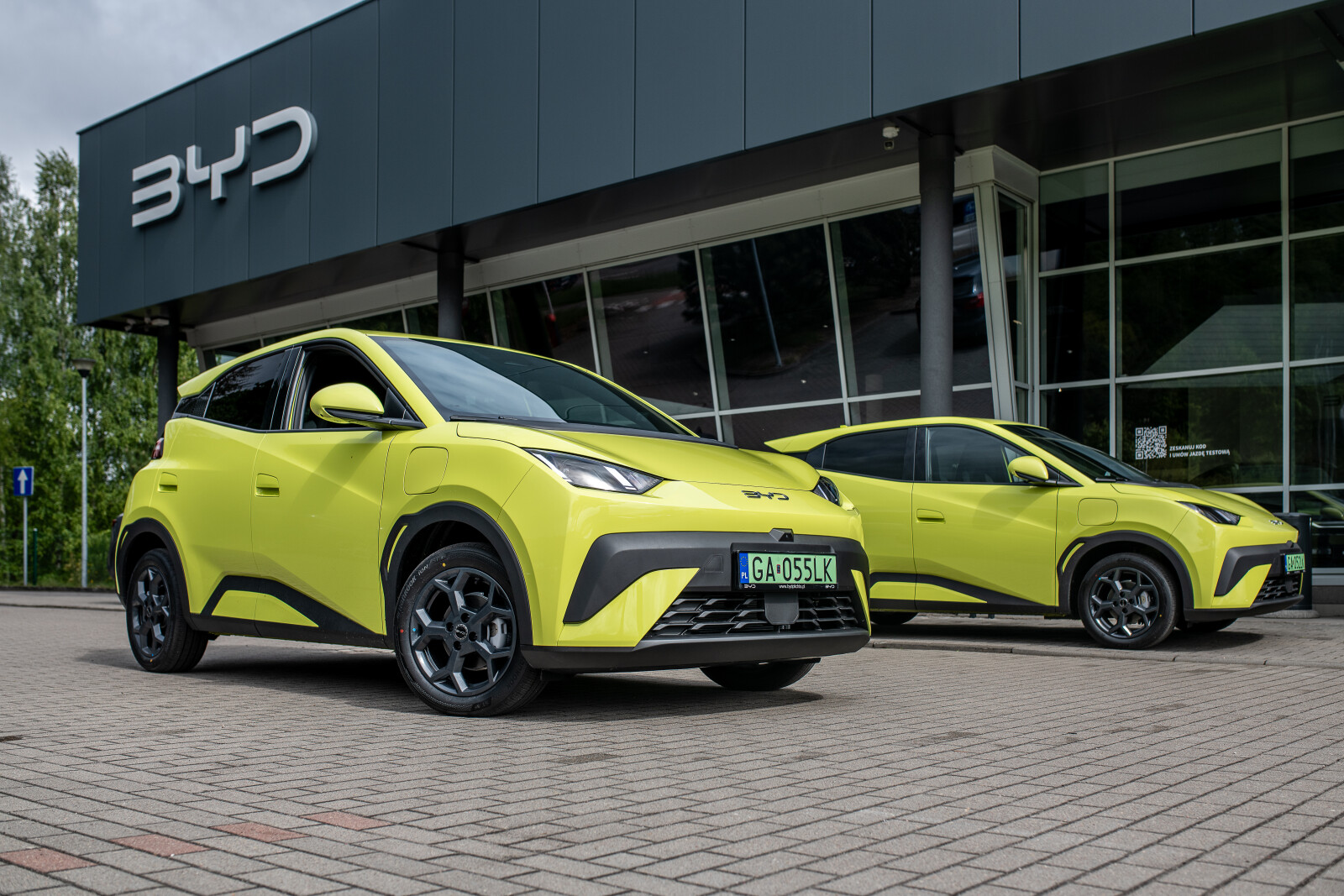 BYD Dolphin Surf