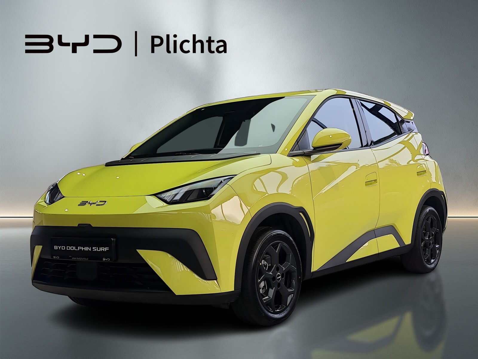 Wyprzedaż Rocznika 2025