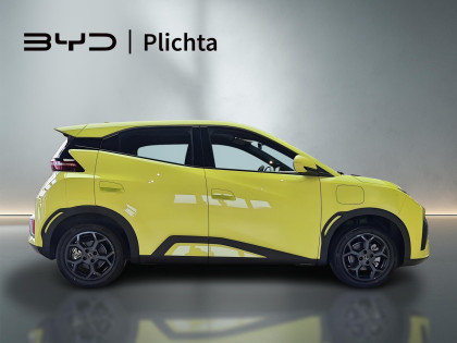 Wyprzedaż Rocznika 2025