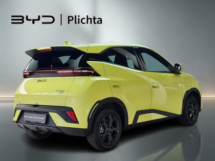 Wyprzedaż Rocznika 2025