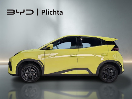 Wyprzedaż Rocznika 2025