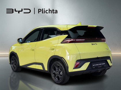 Wyprzedaż Rocznika 2025