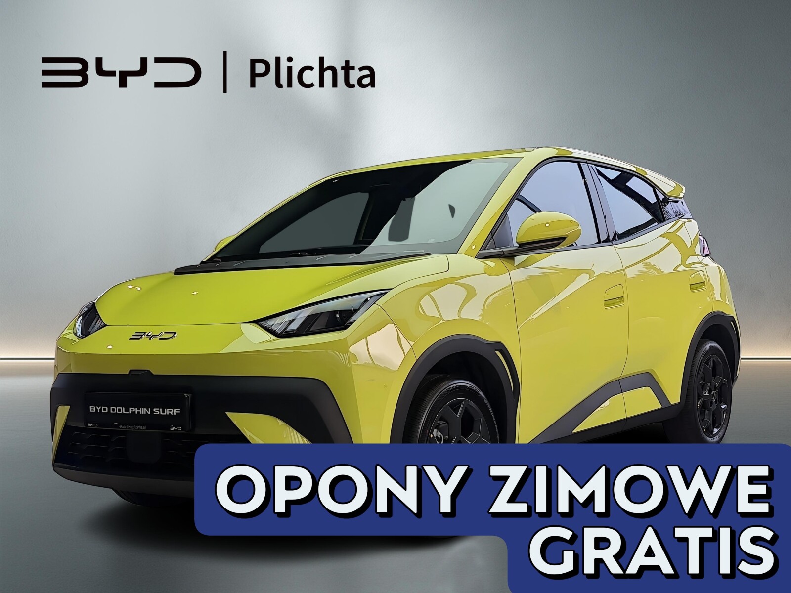 BYD Dolphin Surf