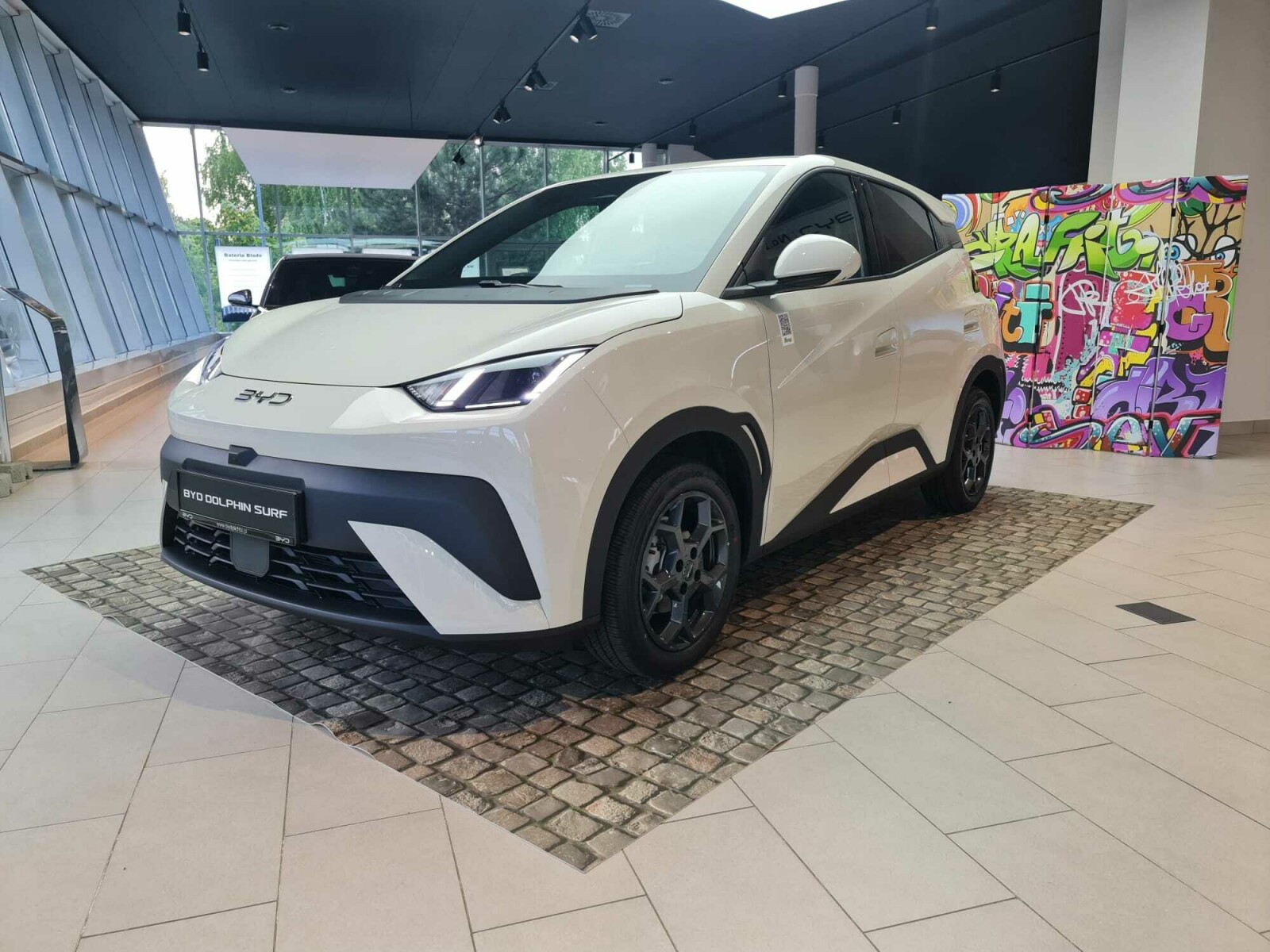 BYD Dolphin Surf