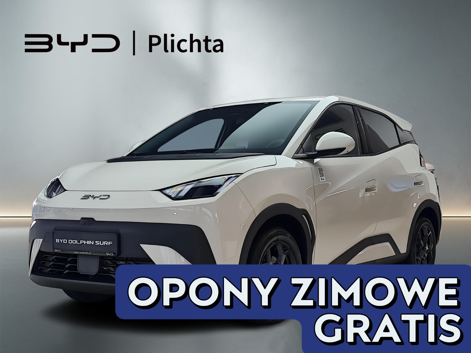 BYD Dolphin Surf