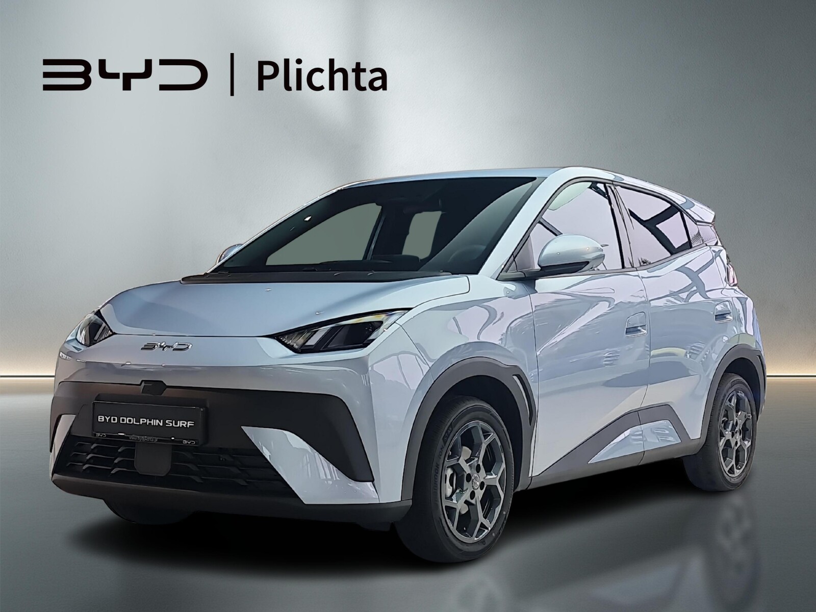 BYD Dolphin Surf