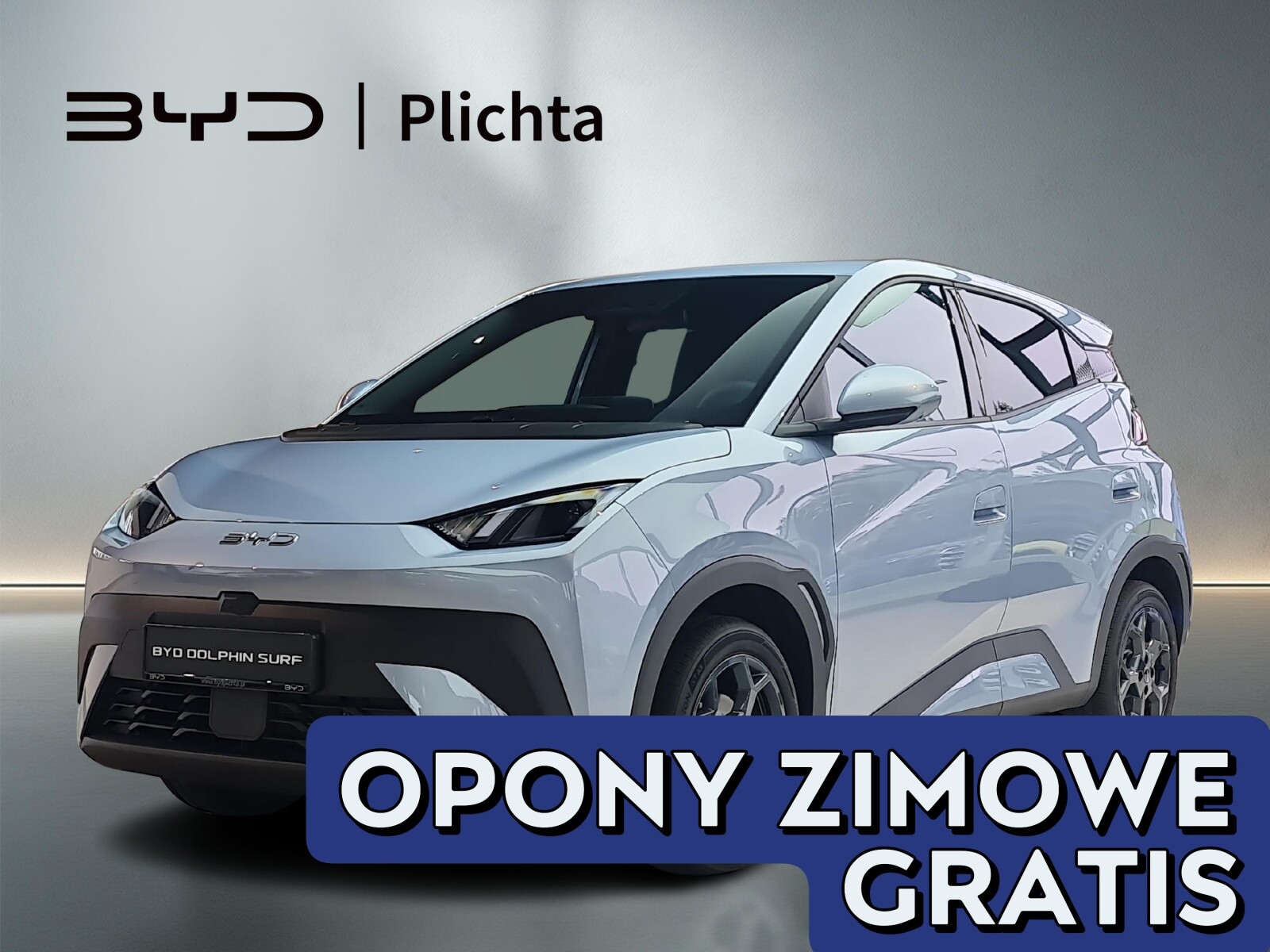 BYD Dolphin Surf
