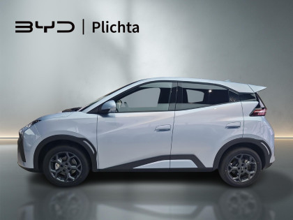 Wyprzedaż Rocznika 2025!