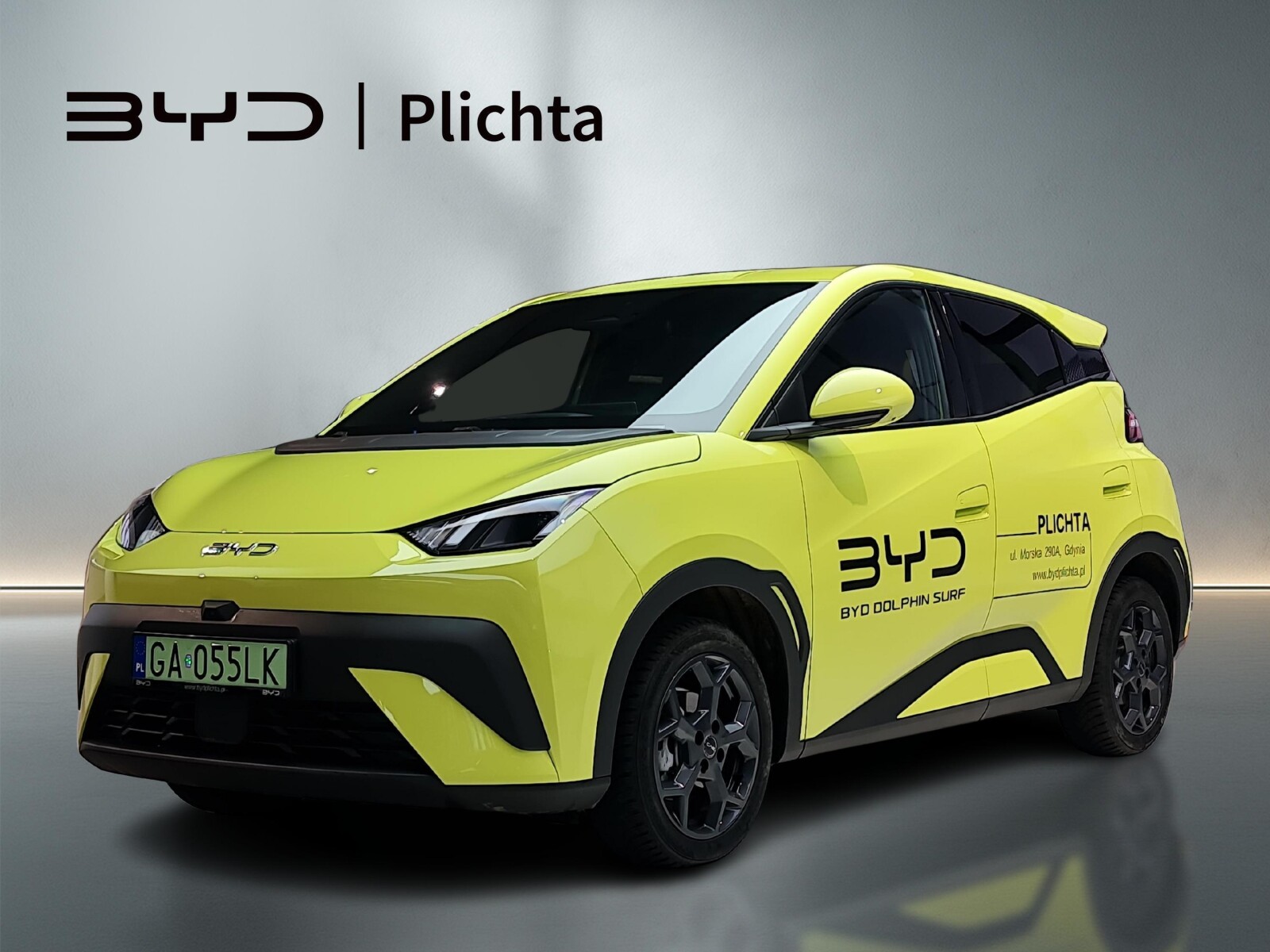 BYD Dolphin Surf