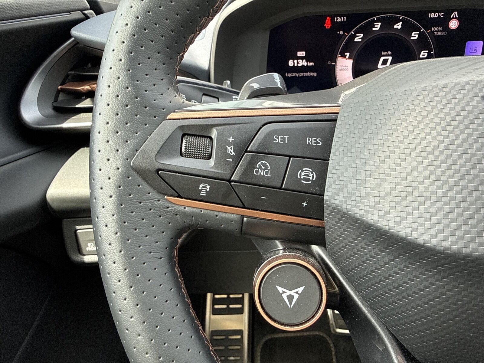 Cupra Terramar - zdjęcie 11