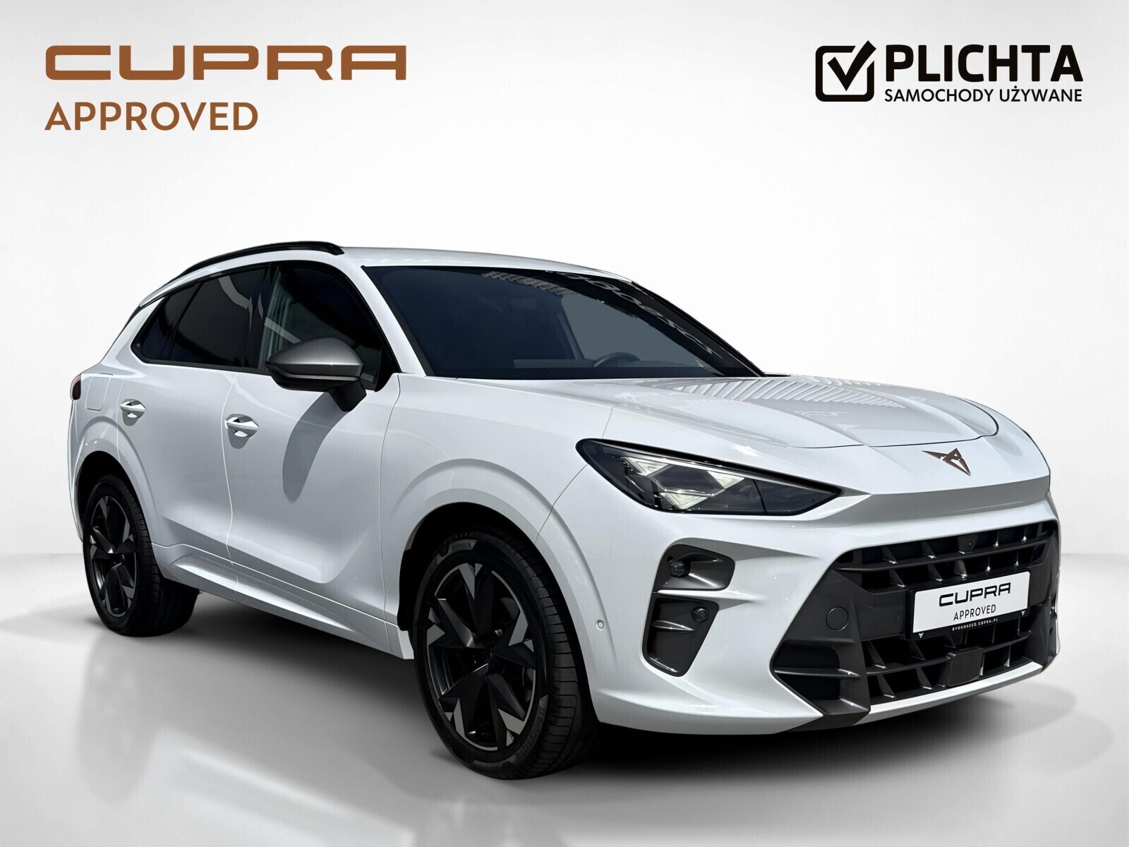 Cupra Terramar - zdjęcie 7