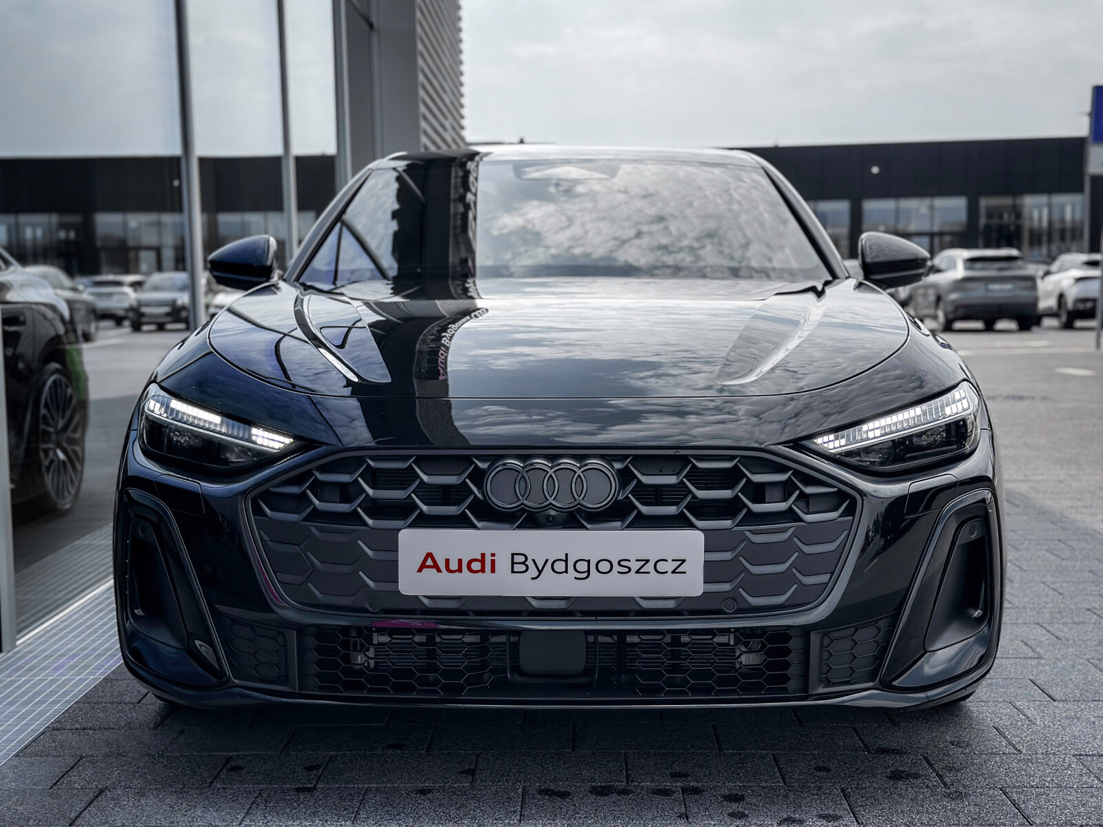 Zdjęcie 3 z 40