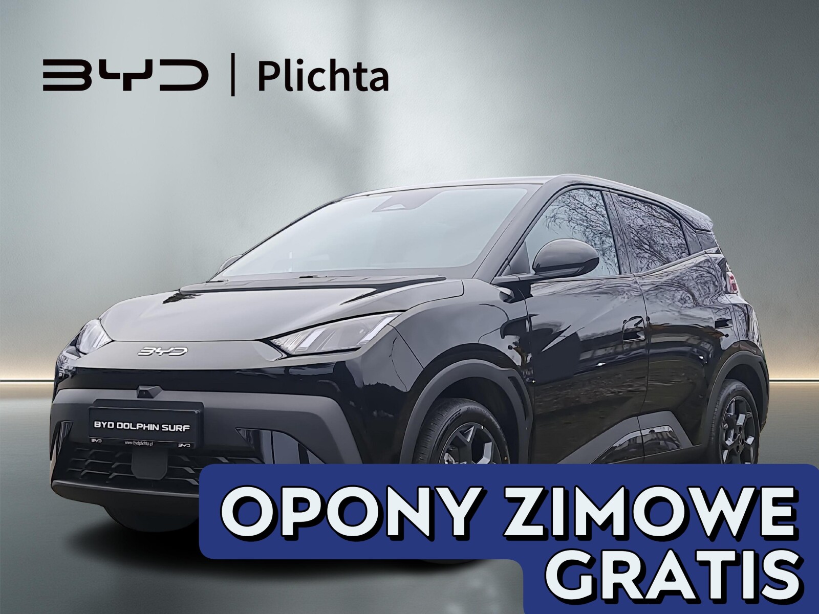 BYD Dolphin Surf