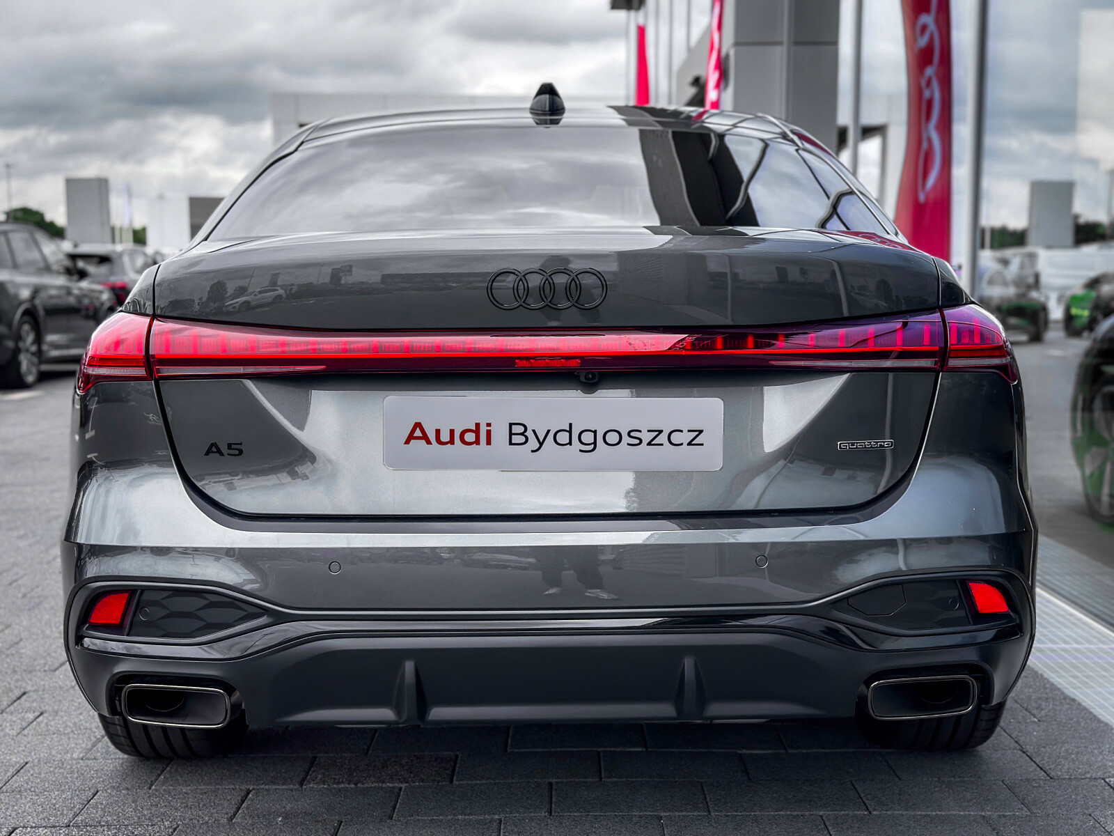 Zdjęcie 6 z 40
