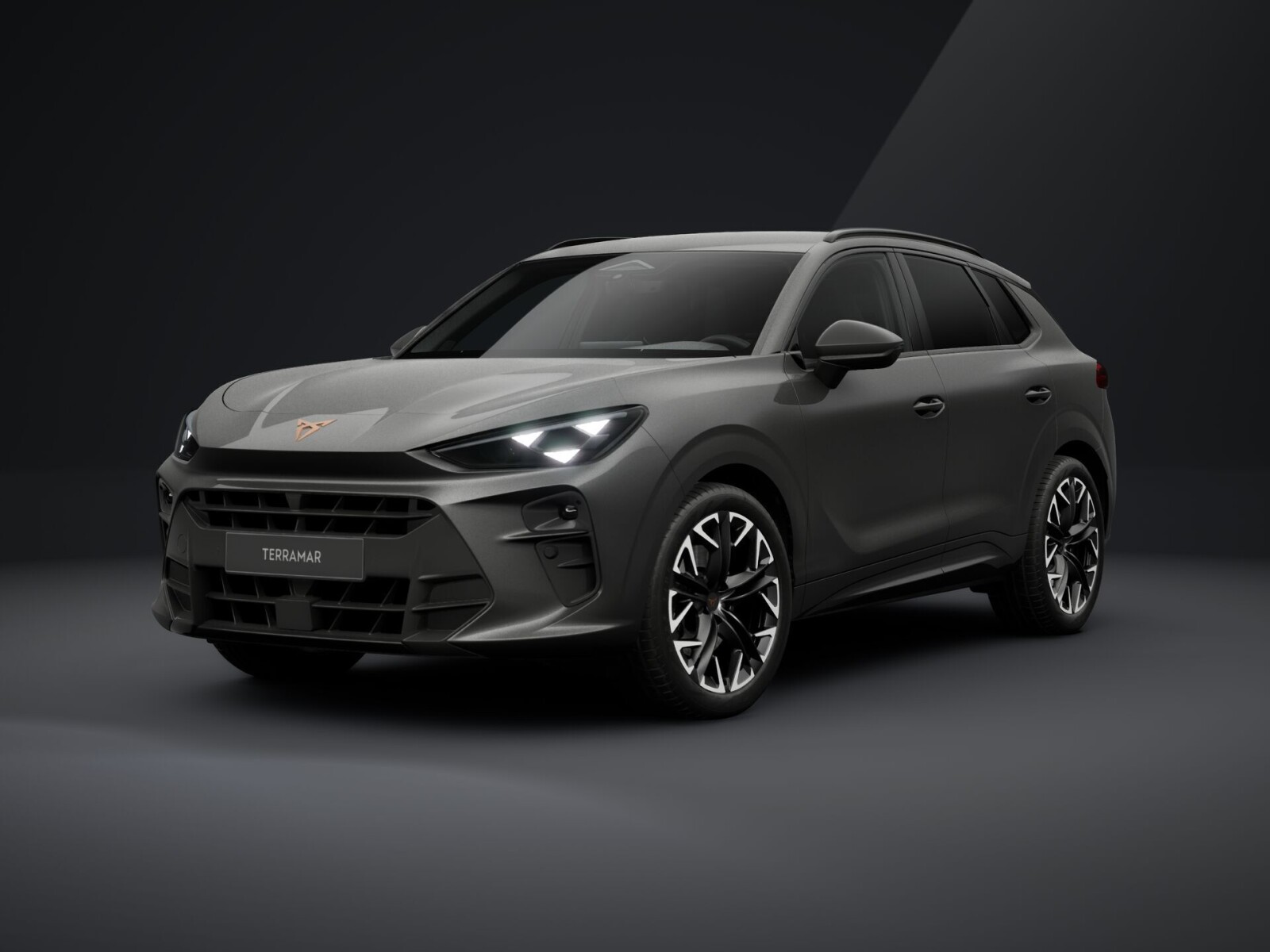 Advantage Edition, Intelligent Drive, Immersive, Preinstalacja Haka