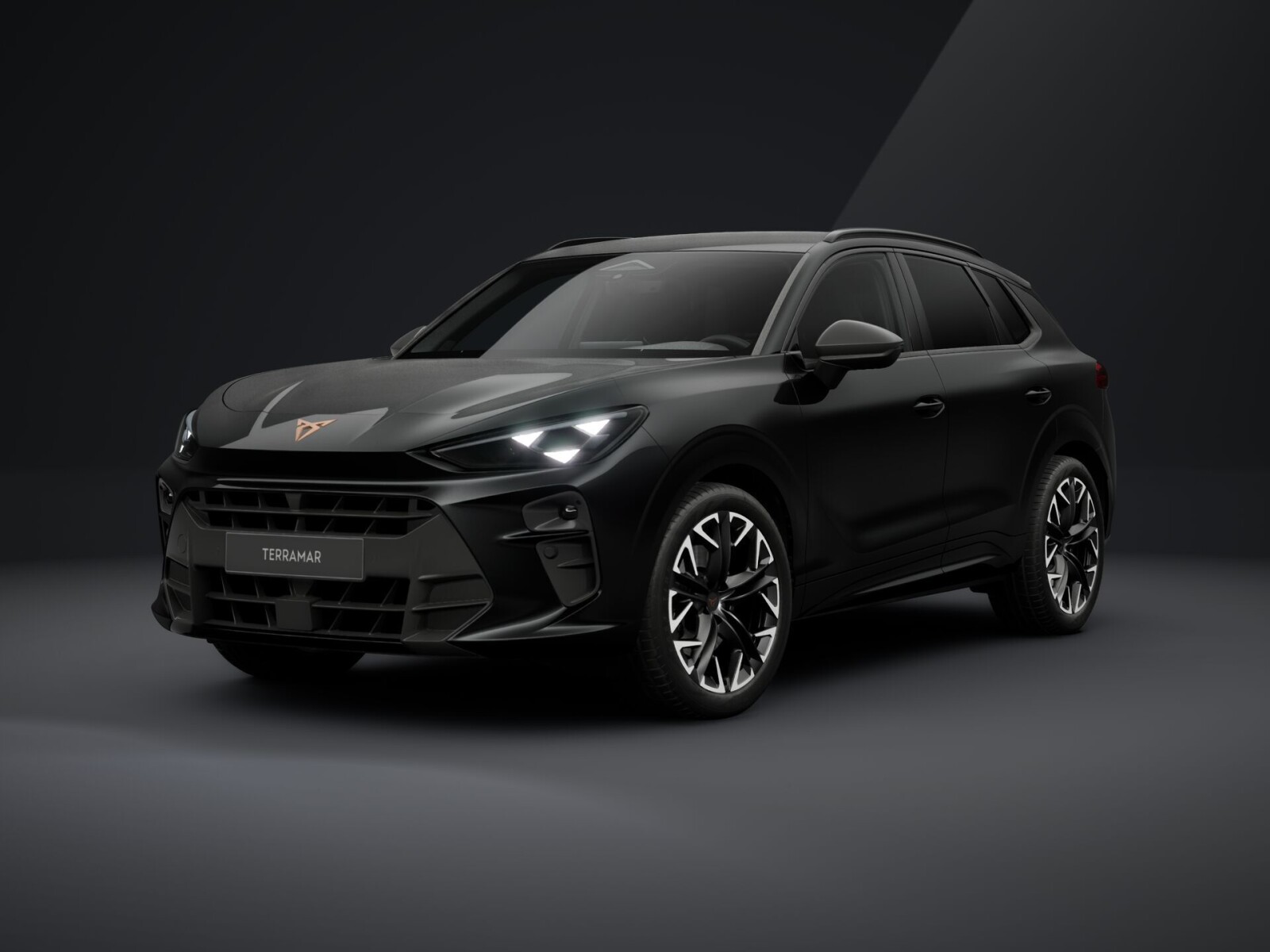 2.0 TSI 204KM 4Drive Adv. Edition: Intelligent Drive, Sennheiser+20tki