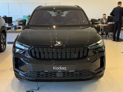 Sportline 2.0 TDI 193 KM DSG 4x4 P.Winter+Performance Od Ręki !