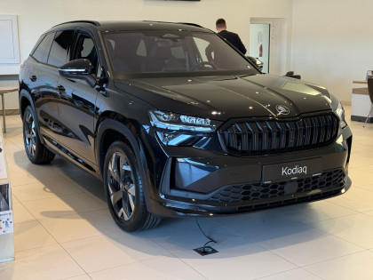 Sportline 2.0 TDI 193 KM DSG 4x4 P.Winter+Performance Od Ręki !