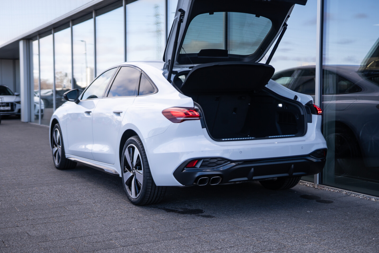 Zdjęcie 8 z 31
