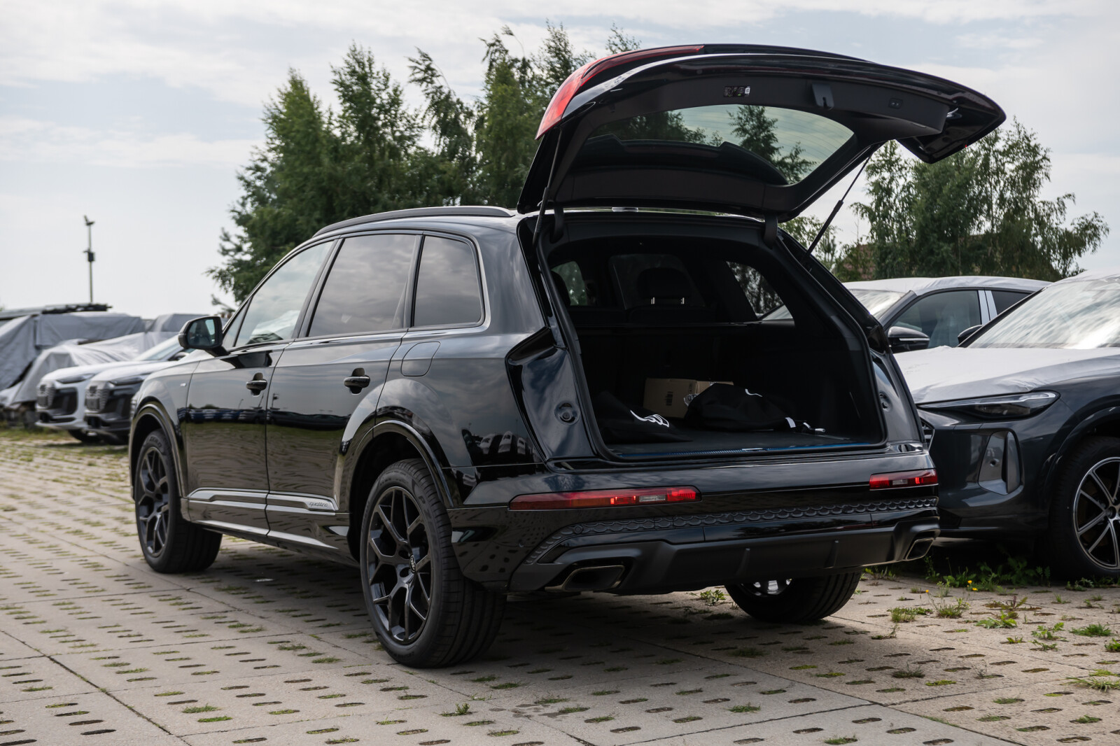 Zdjęcie 8 z 40