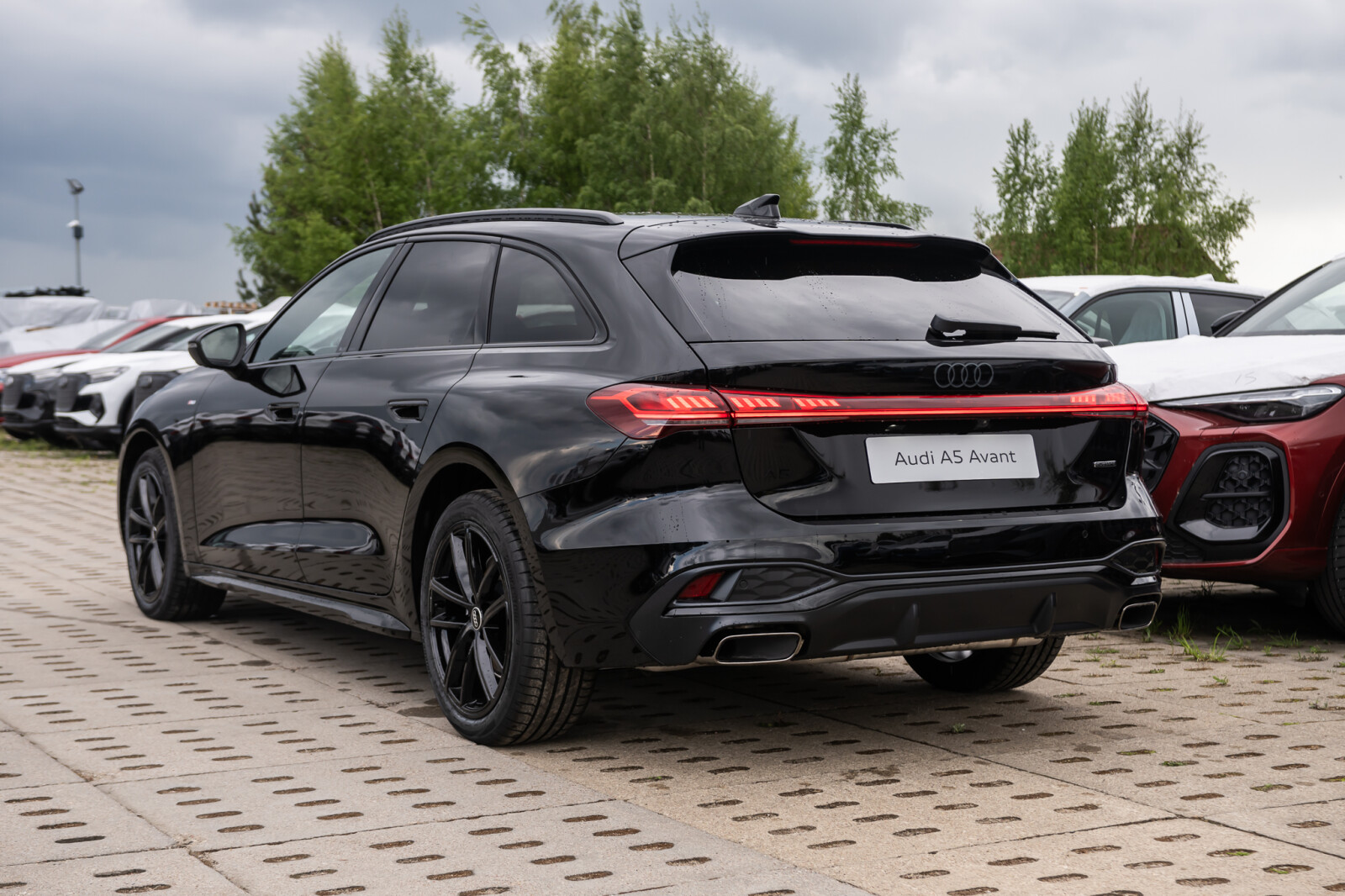 Zdjęcie 3 z 28