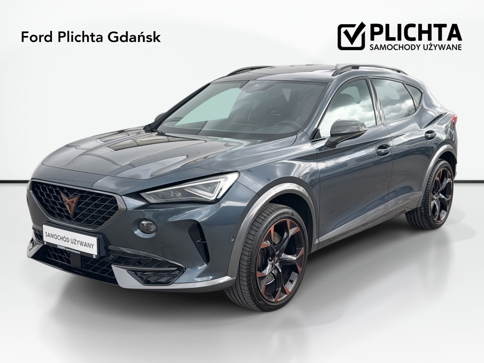 Cupra Formentor - zdjęcie 37