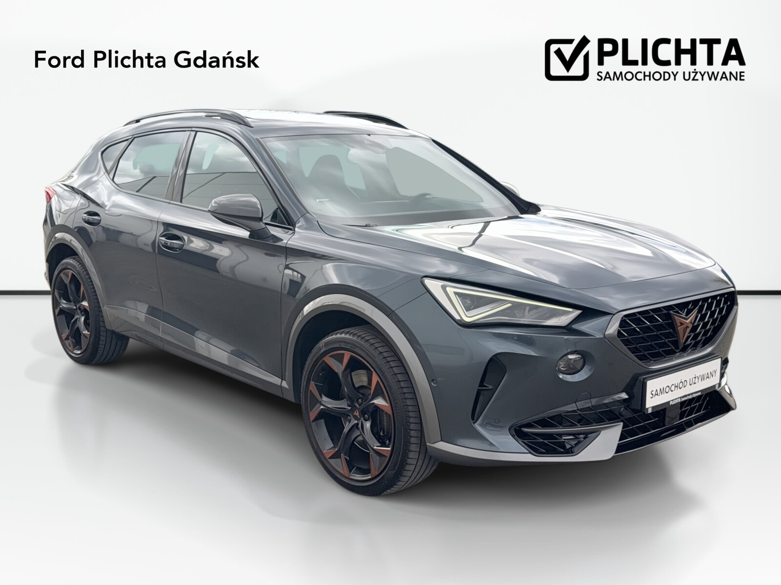 Cupra Formentor - zdjęcie 39