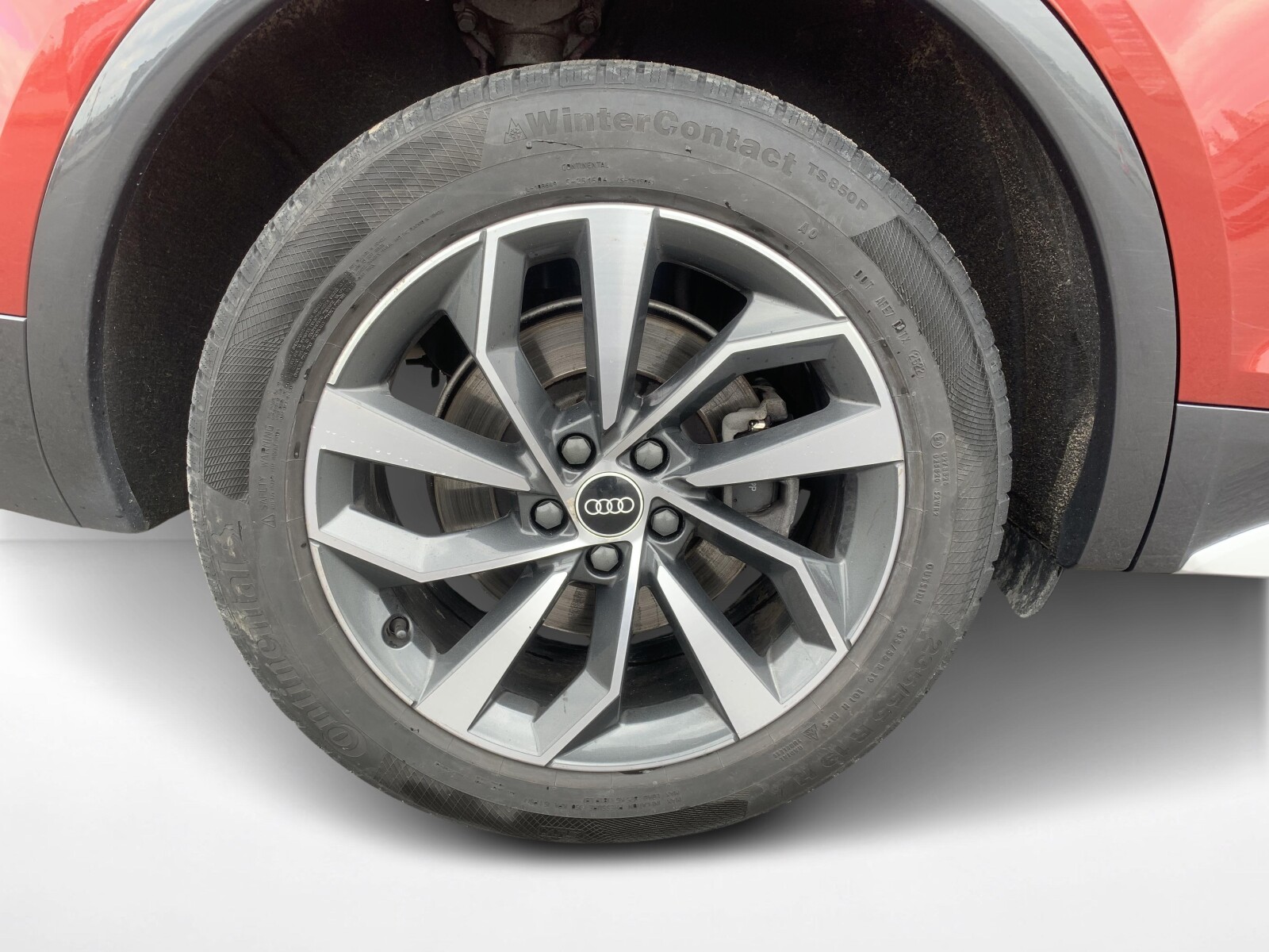 Audi Q5 - zdjęcie 10