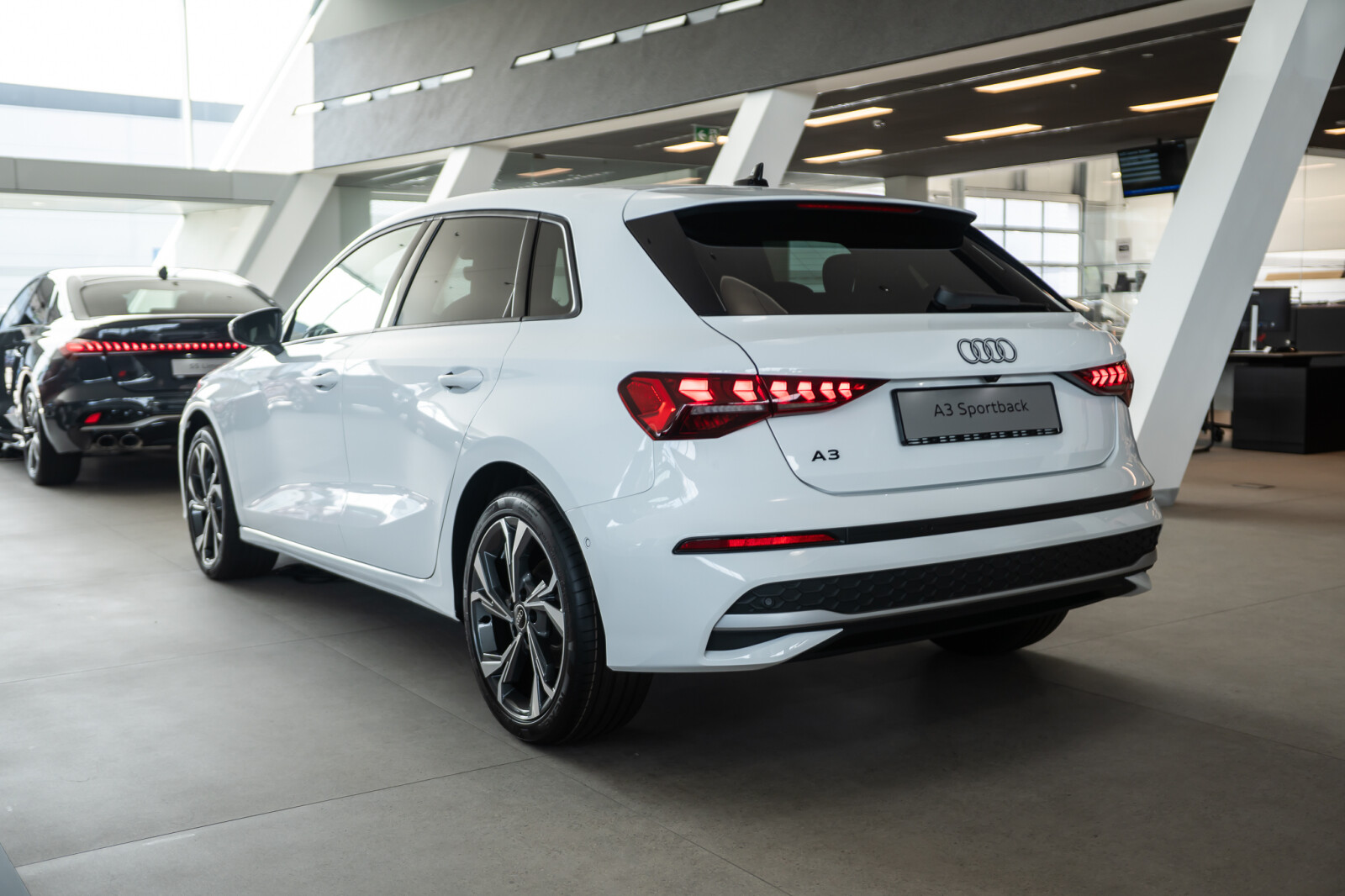 Zdjęcie 3 z 32