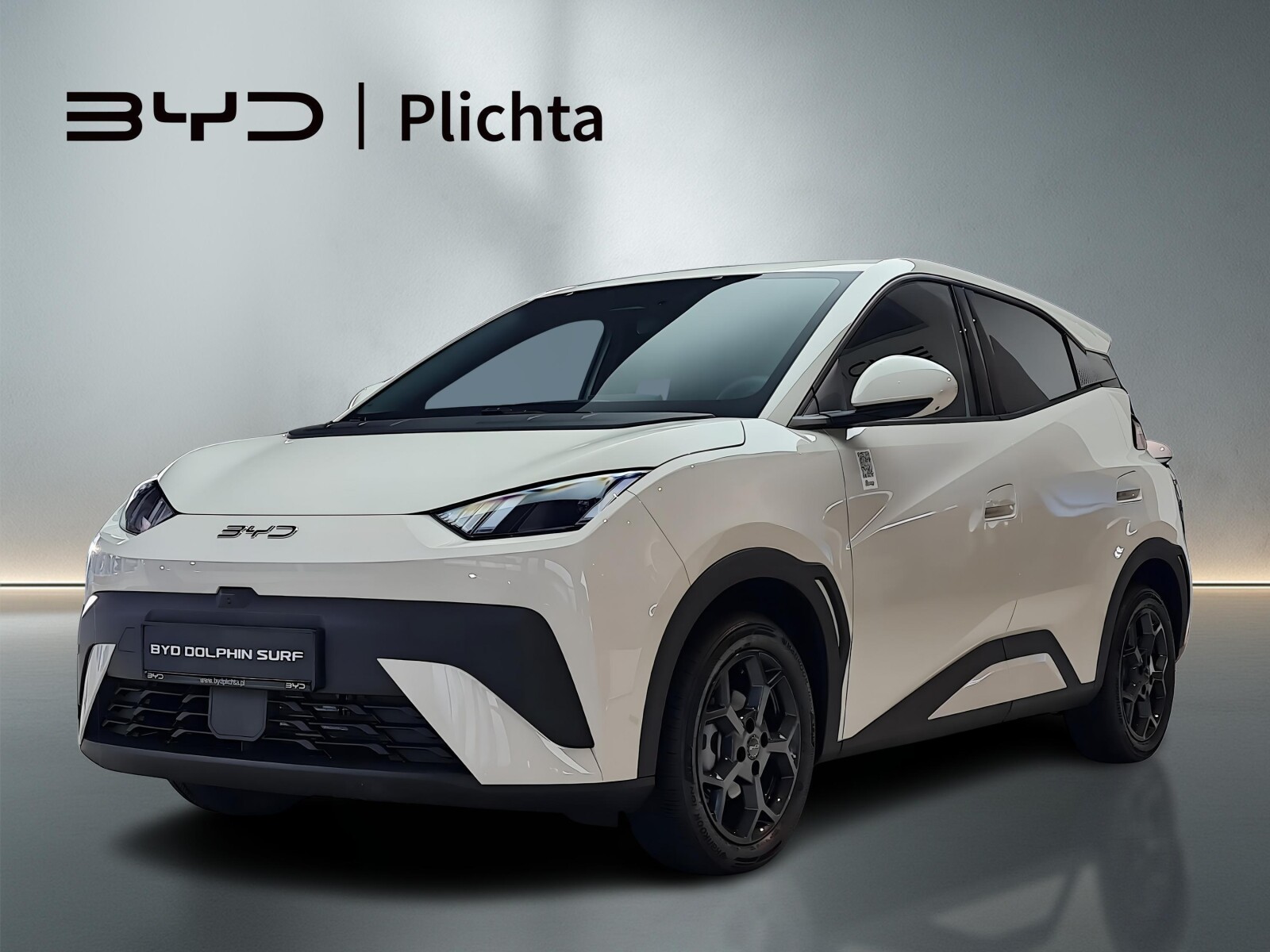 BYD Dolphin Surf