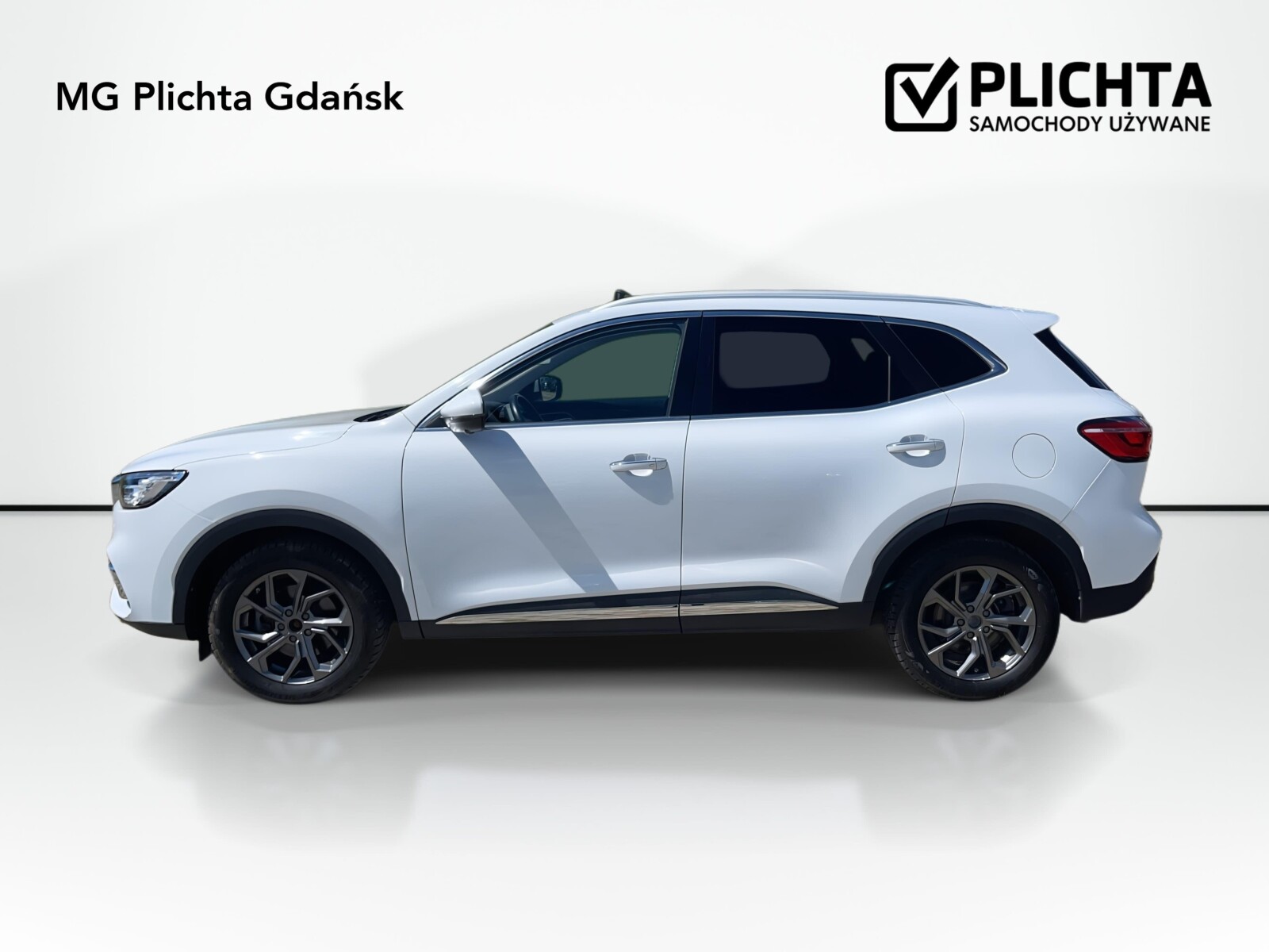 MG EHS - zdjęcie 8