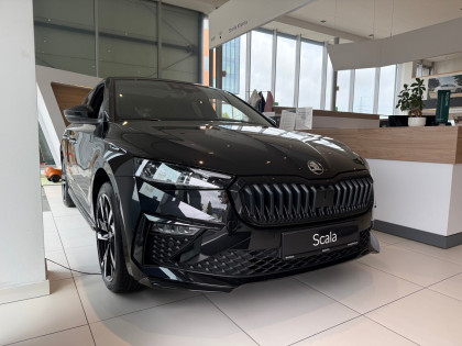 Monte Carlo 1.5 TSI 150 KM DSG P.Winter Premium+Simply Clever Od Ręki!