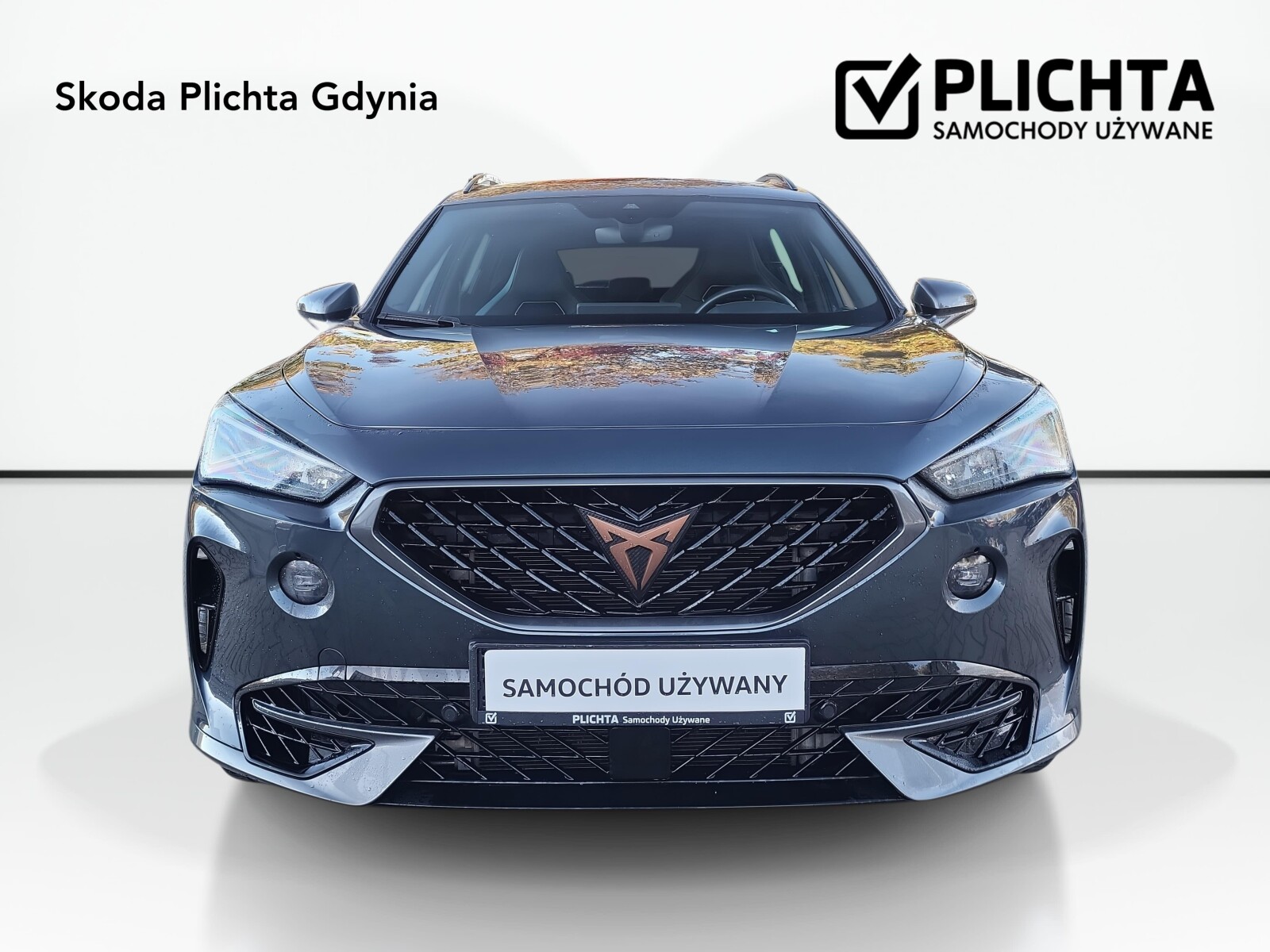 Cupra Formentor - zdjęcie 9