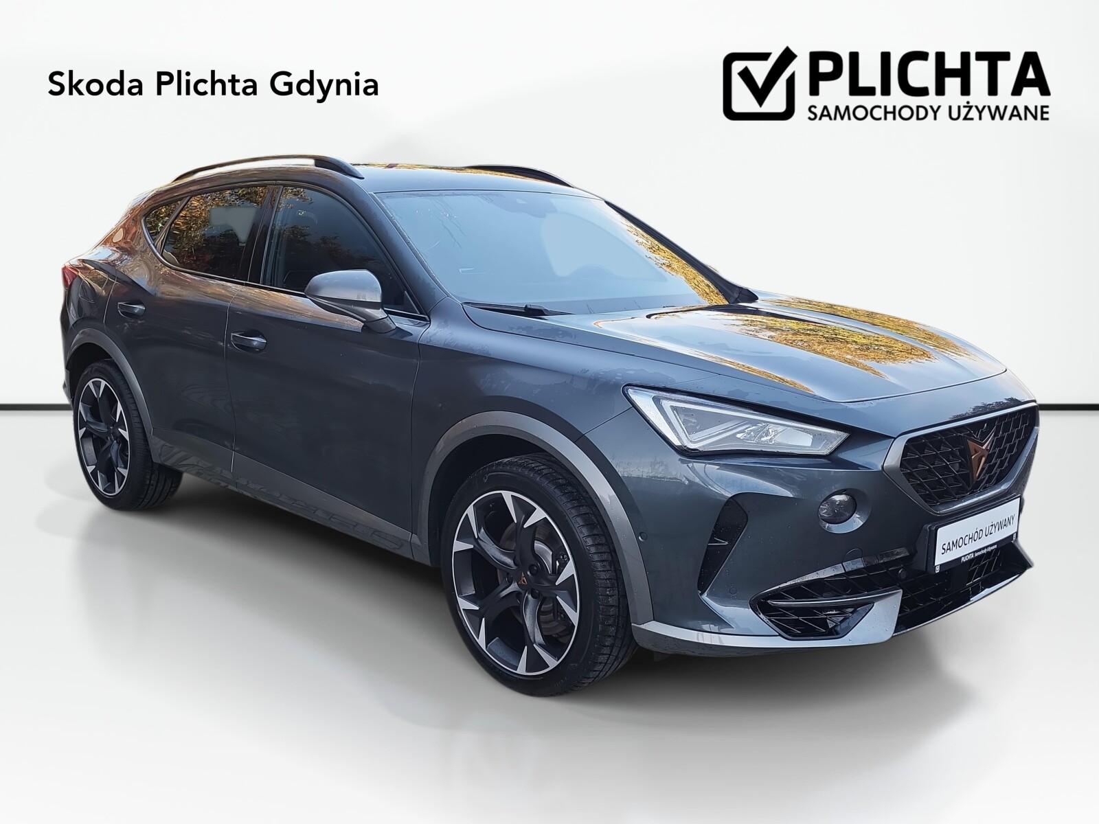 Cupra Formentor - zdjęcie 8