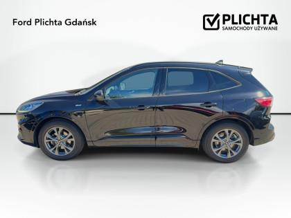 Ford Kuga W Wersji Wyposażenia ST-Line X Z Silnikiem 1.5 EcoBoost 150 KM Manual