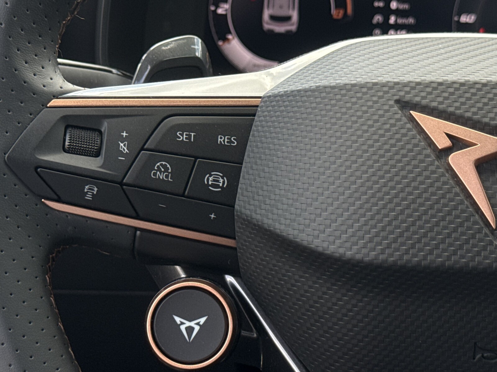 Cupra Formentor - zdjęcie 18