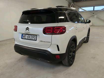 *Polski Salon *Faktura VAT *Shine