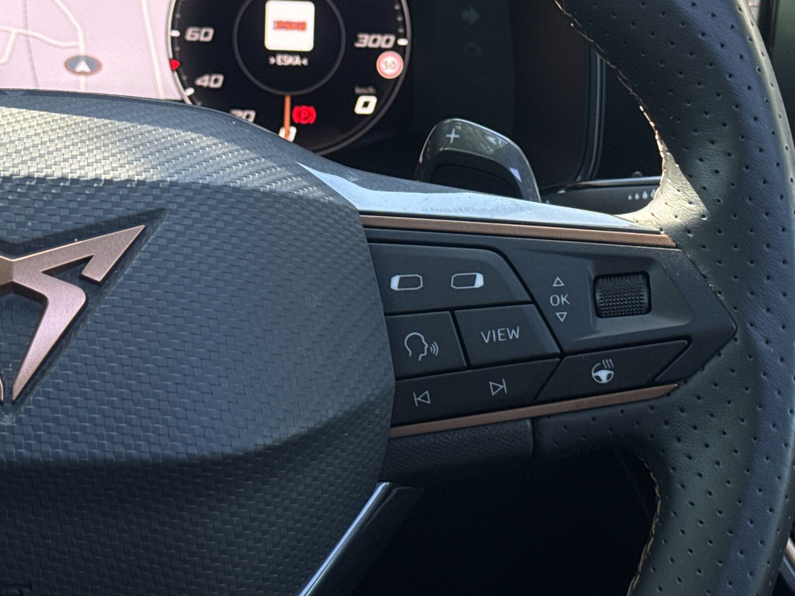 Cupra Formentor - zdjęcie 19