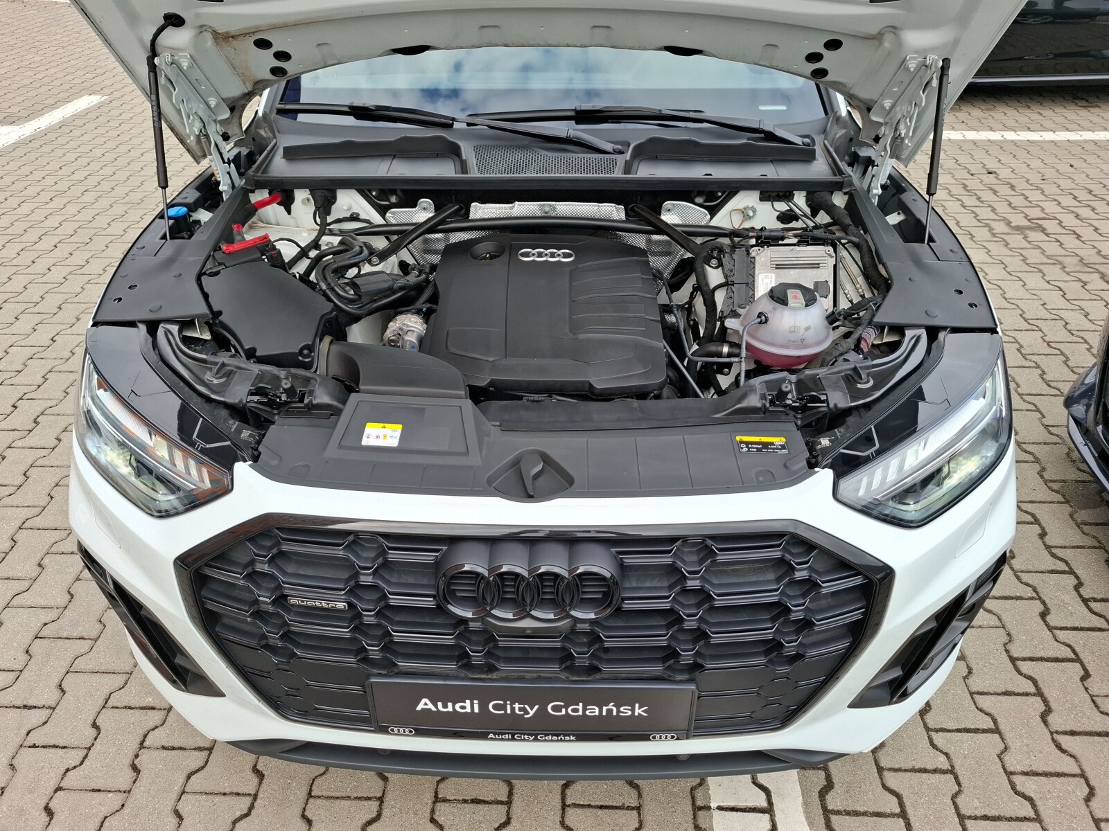 Audi Q5 - zdjęcie 11