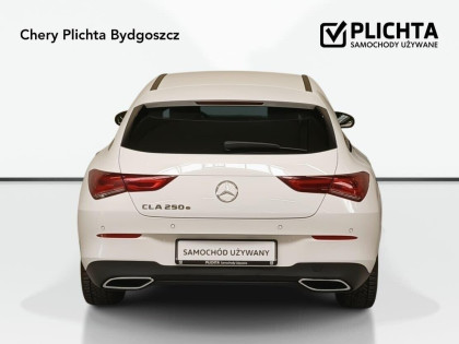 1.3 CLA 250