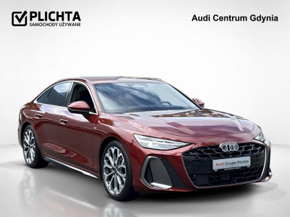 S-line, Skrętna OŚ, Matrix, OLED, HAK, Fotele Typu S, Bang Olufsen