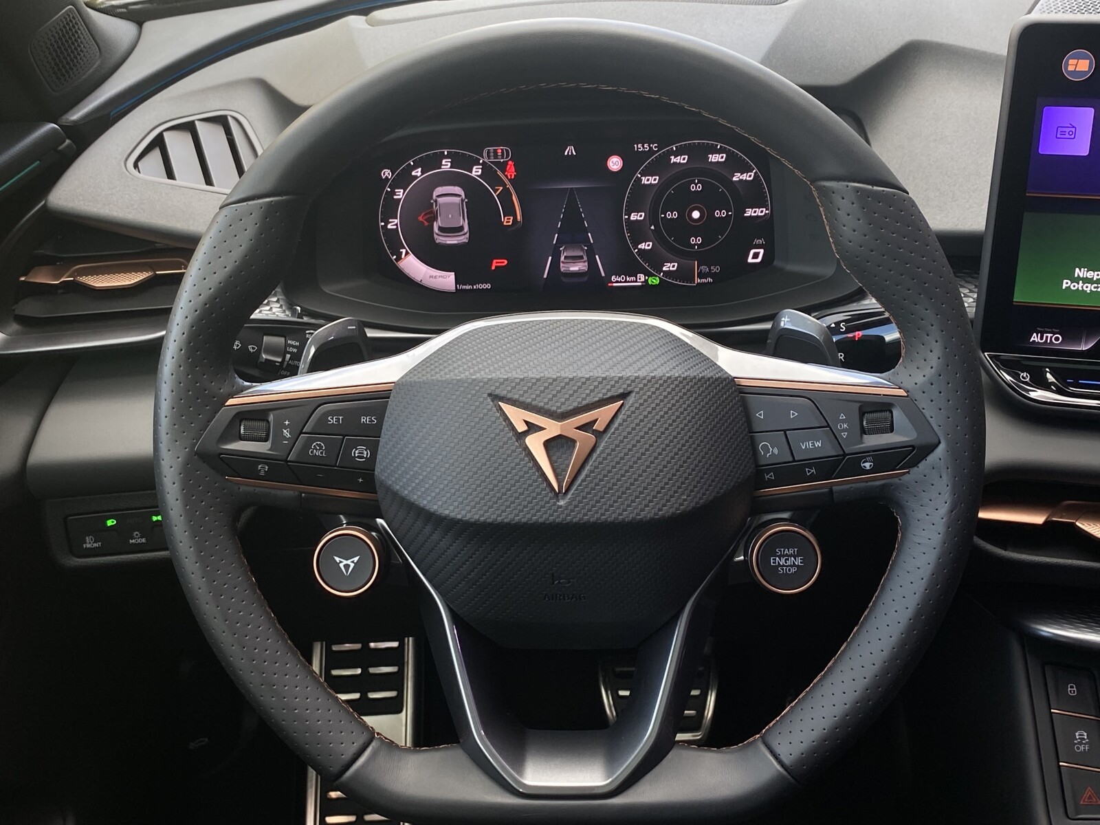 Cupra Terramar - zdjęcie 15