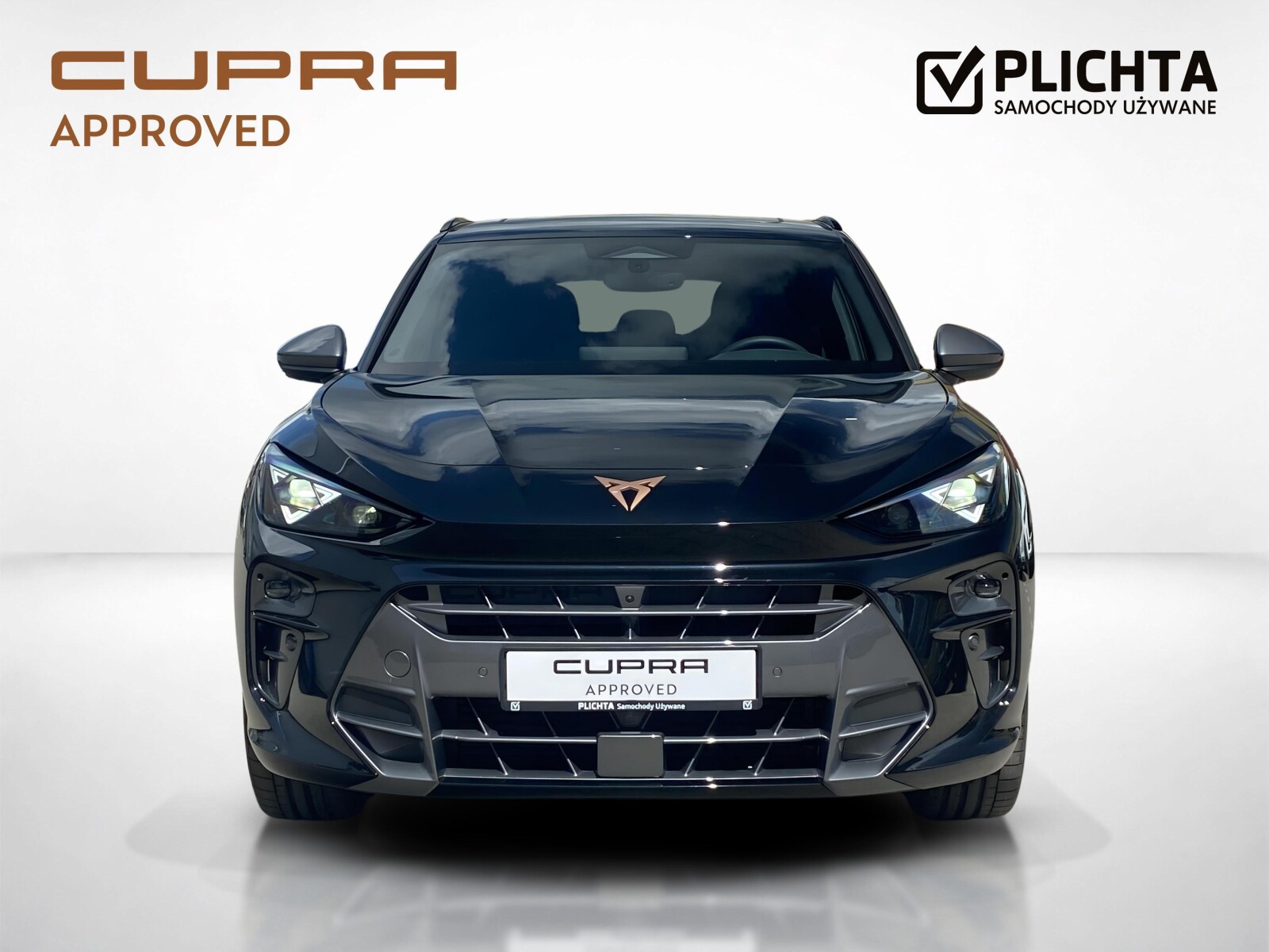 Cupra Terramar - zdjęcie 8