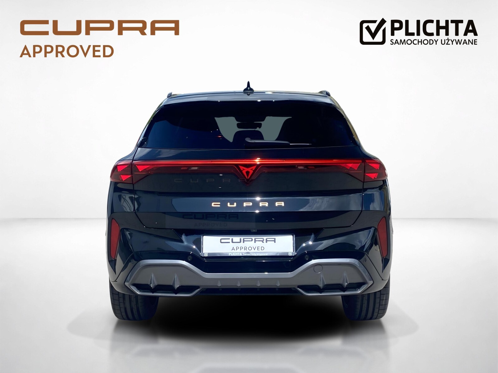 Cupra Terramar - zdjęcie 4