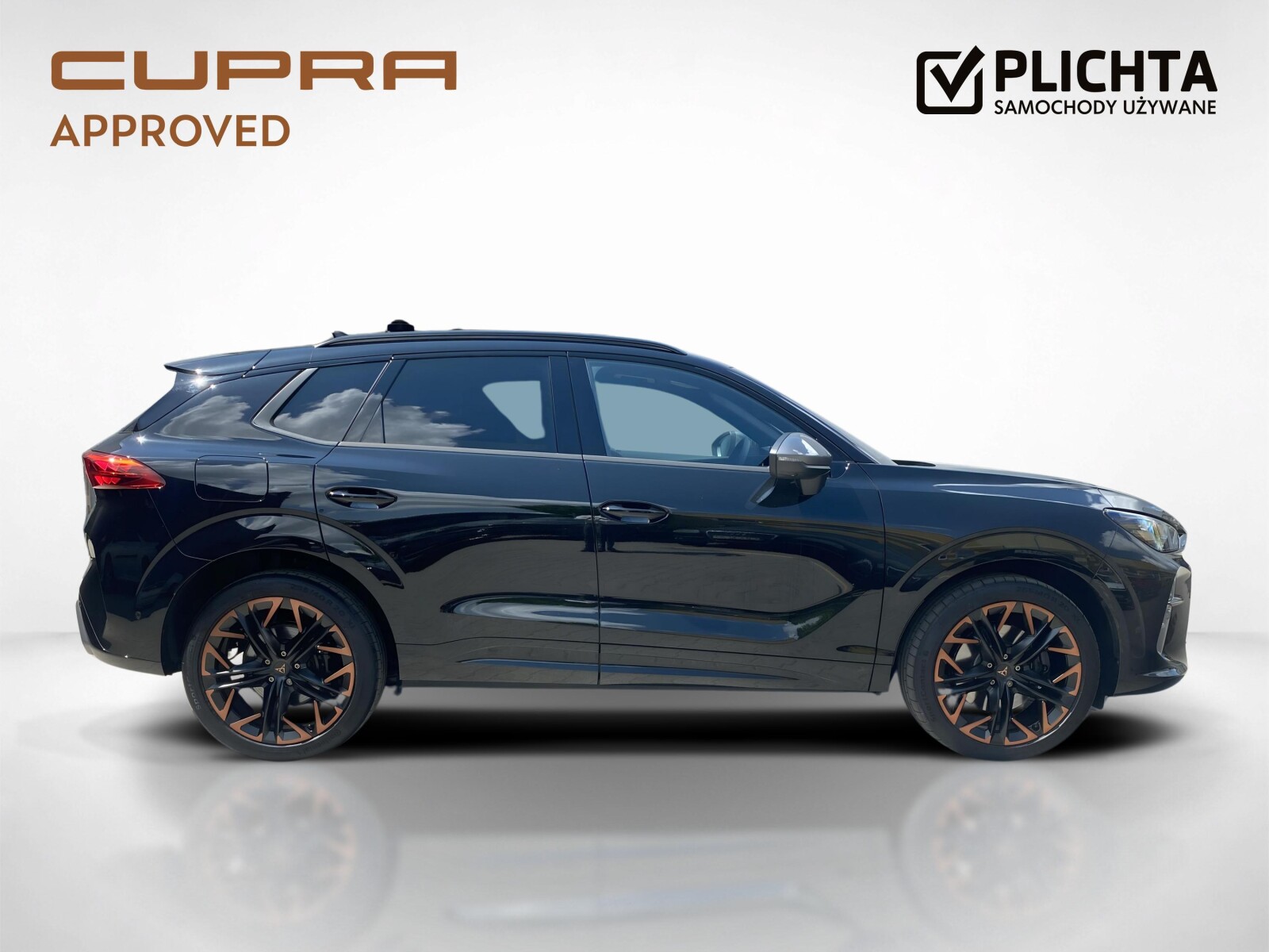 Cupra Terramar - zdjęcie 6
