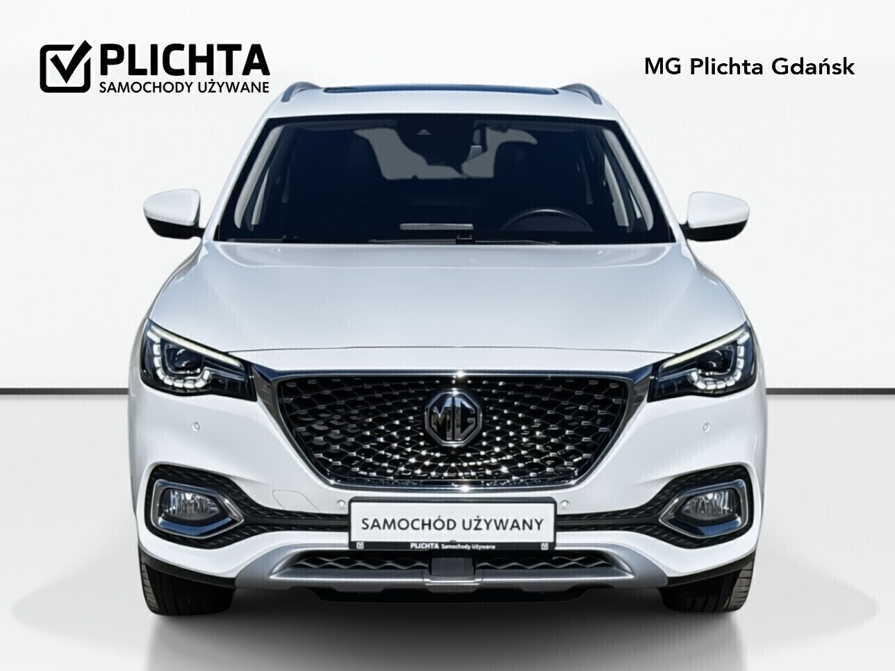 MG EHS - zdjęcie 2